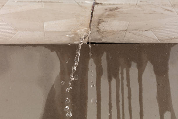 Professional Sewage Cleanup technician working in Avalon, CA